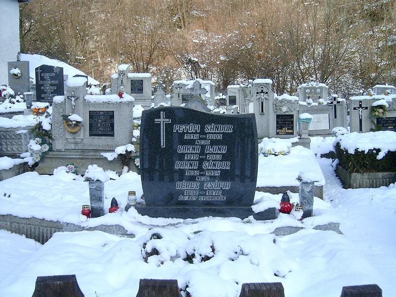 20110122 102.jpg